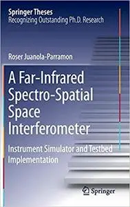 A Far-Infrared Spectro-Spatial Space Interferometer: Instrument Simulator and Testbed Implementation (Repost)