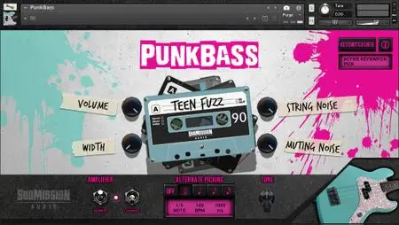 Submission Audio Punkbass KONTAKT