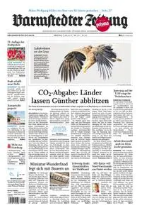 Barmstedter Zeitung - 02. Juli 2019