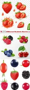 Vectors - Different Realistic Berries 3