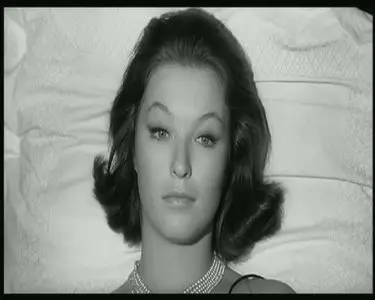 L'ape Regina: Una Storia Moderna (1963)
