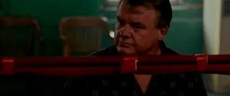 The Fighter (2010)