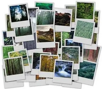 Wallpapers - Forest - Set III
