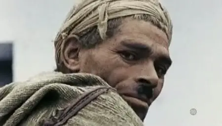 (Fr2) Guerre d'Algérie, la déchirure (2012)