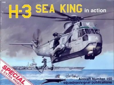 H-3 Sea King in Action