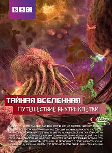Our Secret Universe: The Hidden Life of the Cell (2012)