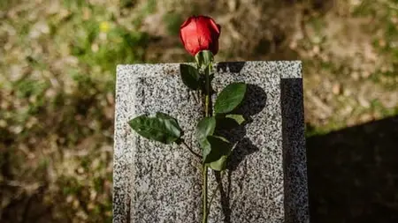 Diploma In Grief Healing, Death Doula & Counseling Care
