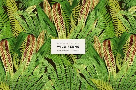 EE - Wild Ferns CMR9WL3