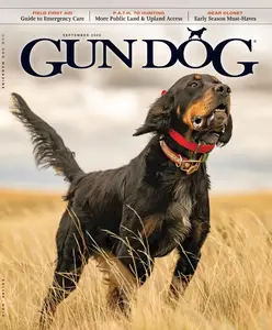Gun Dog - September 2025