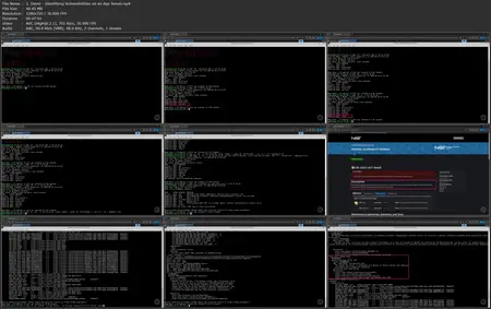 Pen Testing: Scanning and Analysis