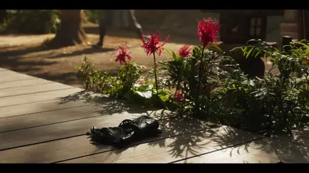 Song of the Samurai - Chapter: Youthful Days in Edo S01E06