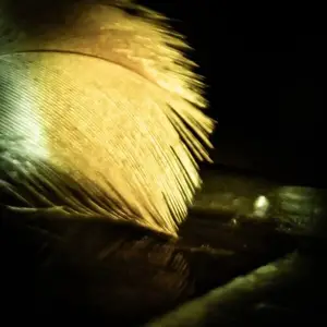 Heine Hansen, Mads Ole Erhardsen - Human Angel (2026) [Official Digital Download]