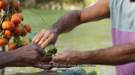 Cuban Food Stories (2018)