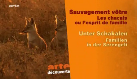 (Arte) Sauvagement Vôtre - 4 volets (2010)