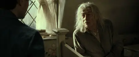 Harry Potter and the Deathly Hallows. Part 2 / Гарри Поттер и Дары Смерти. Часть 2 (2011)