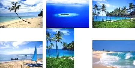 Brand X Pictures Vol.156 - Tropical Paradise