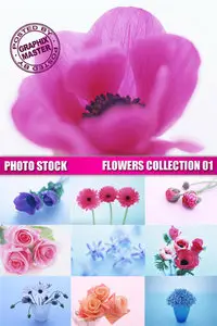 Stock Flowers 01