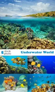Photos - Underwater World