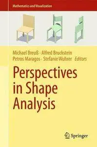 Perspectives in Shape Analysis (repost)