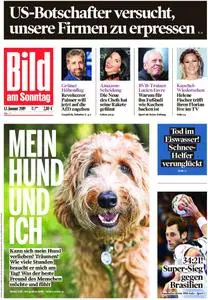 Bild am Sonntag - 13. Januar 2019