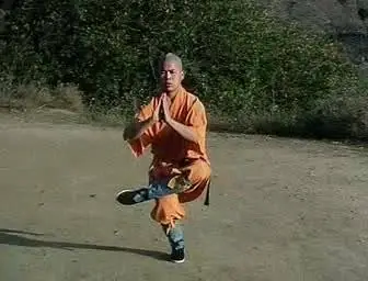Shaolin Kung Fu