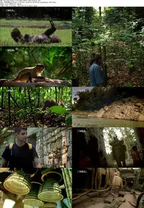 National Geographic - Deep Jungle: The Beast Within