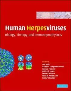 Human Herpesviruses: Biology, Therapy, and Immunoprophylaxis