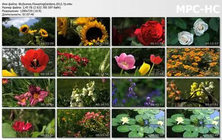 BluScenes: Flowering Gardens (2012)