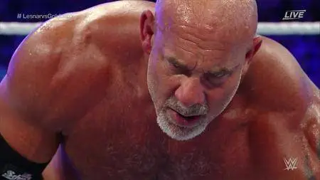 WWE WrestleMania 33 (2017)