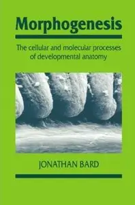 Morphogenesis: The Cellular and Molecular Processes of Developmental Anatomy
