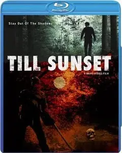 Till Sunset (2011)