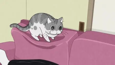 Nights with a Cat - 59