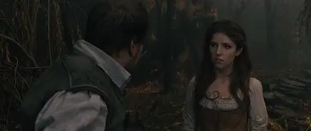 Into the Woods (2014)