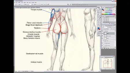 DRAWING ESSENTIAL: How to draw and sketch female figures with pencil