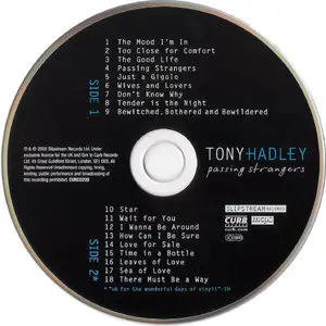 Tony Hadley - Passing Strangers (2006)