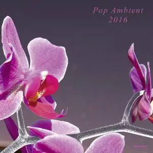 Various Artists - Pop Ambient 2016 (2015)