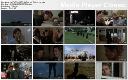 WITNESS (1985)