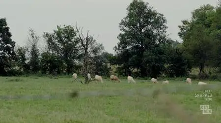 Snapped S23E15