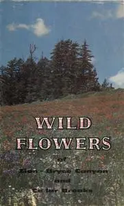 «Wild Flowers of Zion and Bryce Canyon National Parks and Cedar Breaks National Monument» by Leland Francis Allen