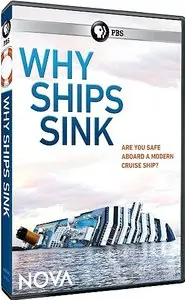 PBS - Nova: Why Ships Sink (2012)
