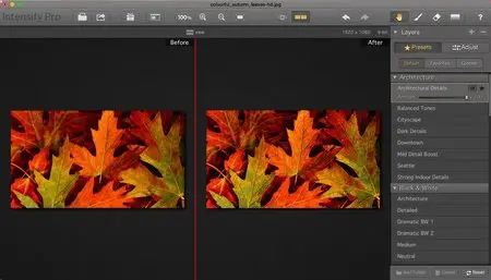 Intensify Pro 1.0.4 build 703 Multilangual Mac OS X