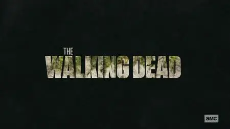 The Walking Dead S09E15