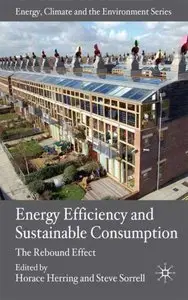 Energy Efficiency and Sustainable Consumption: The Rebound Effect