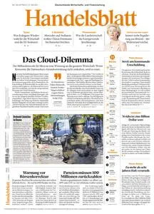Handelsblatt  - 31 Mai 2023