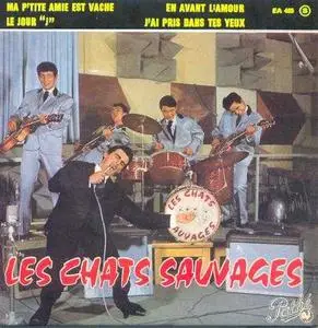Dick RIVERS & Les Chats Sauvages - Integrale des 45 Tours + Pochettes