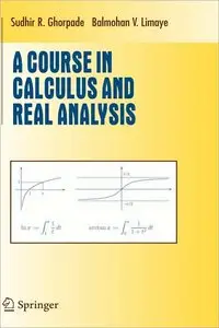 A Course in Calculus and Real Analysis (repost)