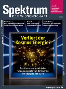 Spektrum der Wissenschaft November 2010