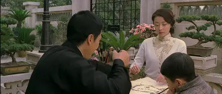 Ip Man (2008)
