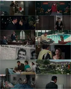 Valley of the Dolls (1967) [The Criterion Collection]