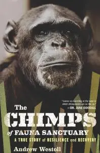 The Chimps of Fauna Sanctuary